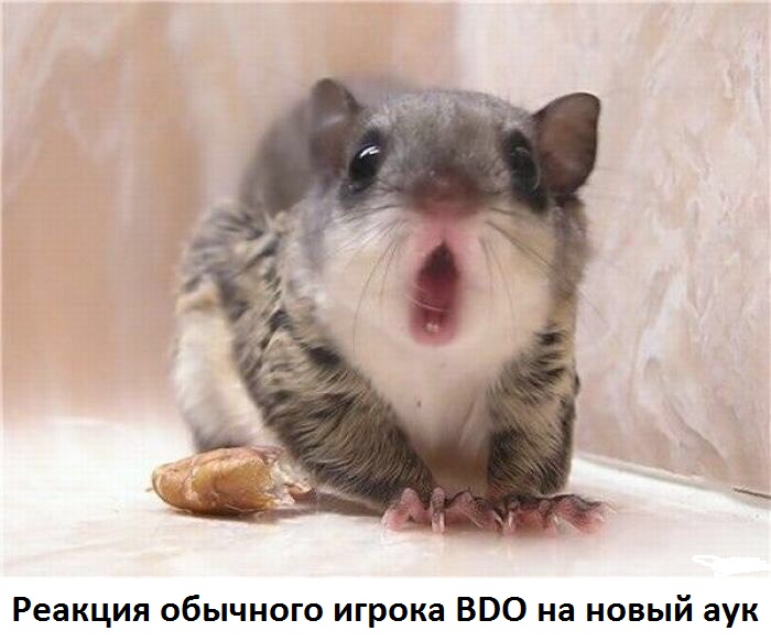 Реакция игрока БДО на новый аук Реакция игрока БДО на новый аук